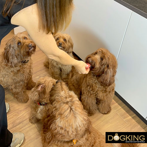 Take the prize gently