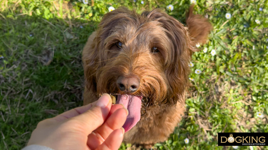 Take the prize gently