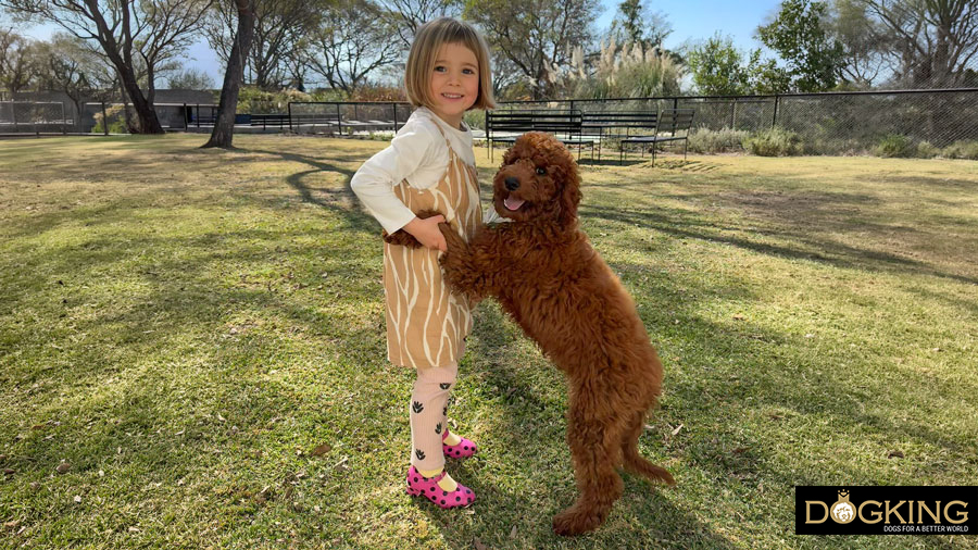 when your dog jumps on other people