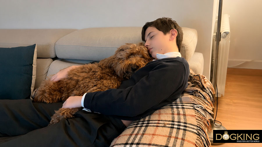 dormir con tu perro puede ser terapéutico