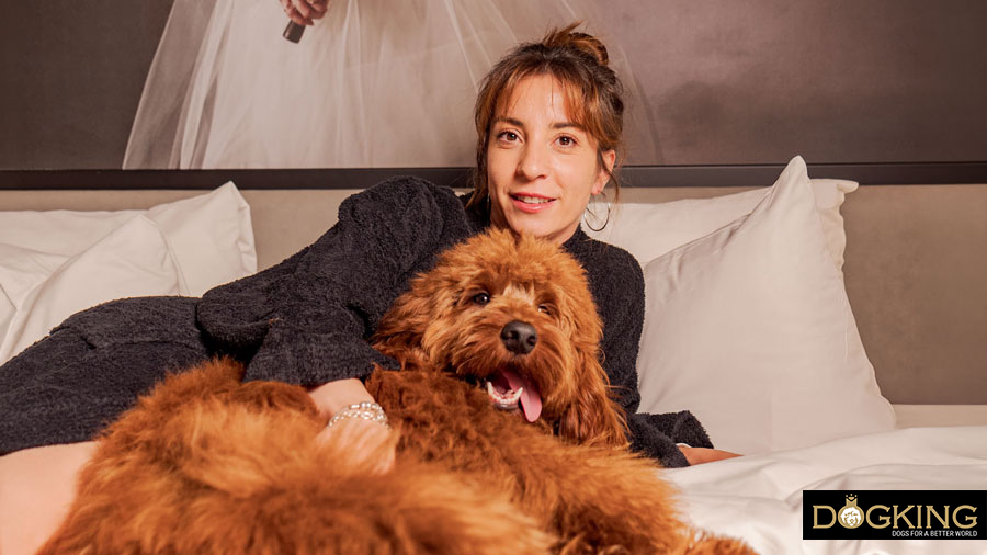 ventajas de dormir con tu perro en la misma cama