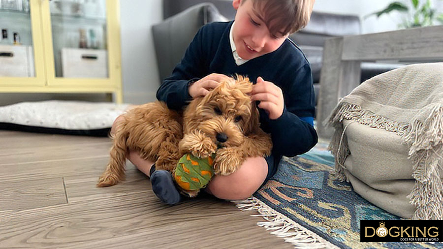Vorteile der Hundemassage
