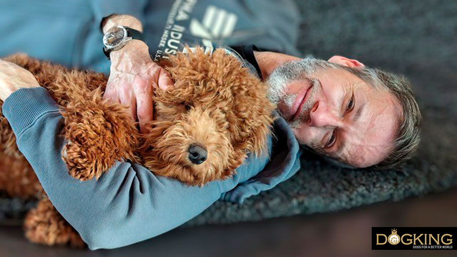 las altas capacidades en los perros