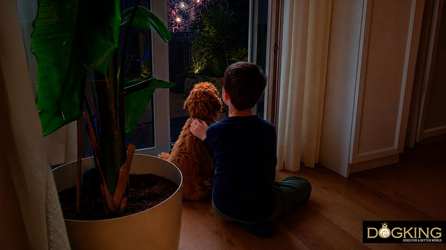 ¿por qué mi perro tiene fobia a los petardos?