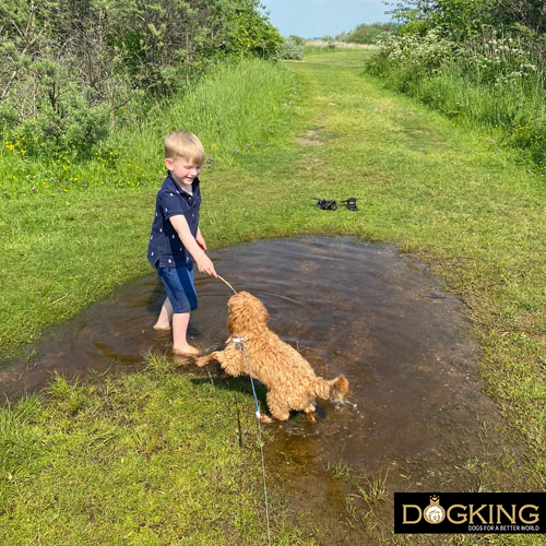 ¡sí a los baños con tu perro! ¡sí a los baños con tu perro!