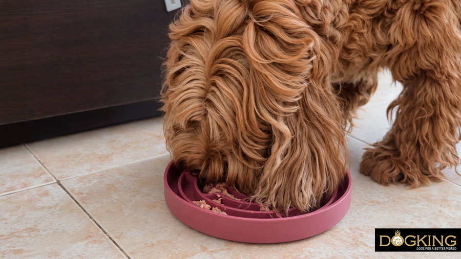 Ideal canine nutrition