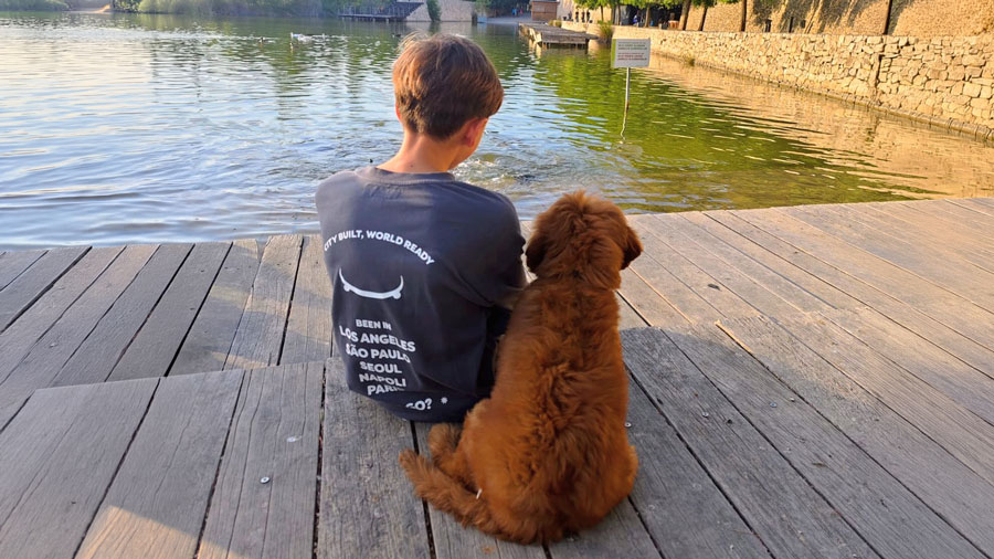 Meditació amb mascotes