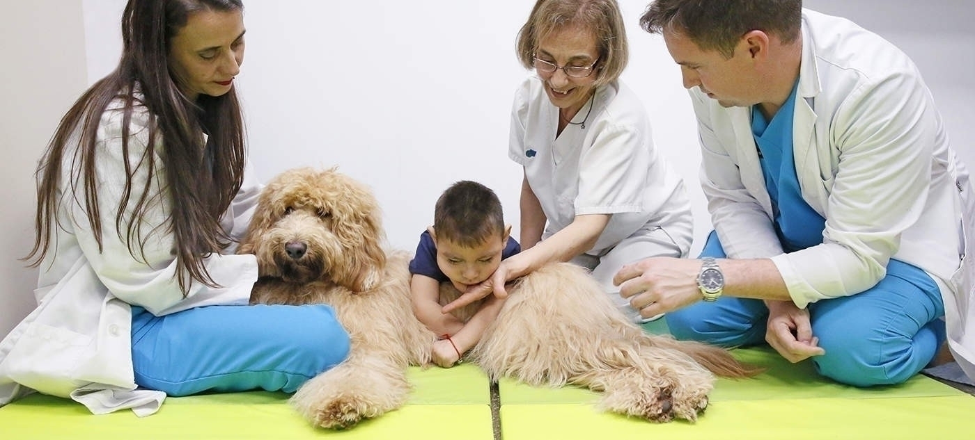 Cão de terapia com criança e terapeutas