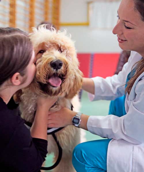 fille embrassant un chien