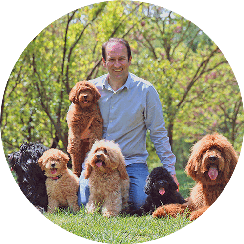 uomo con i cani nel parco in natura foto rotonda