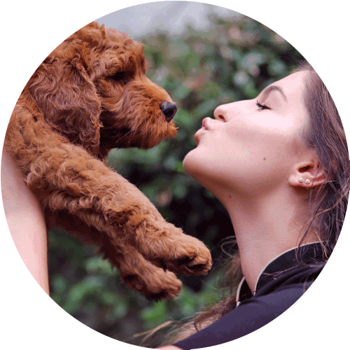 Girl kissing a puppy dog round image