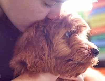 girl kissing puppy