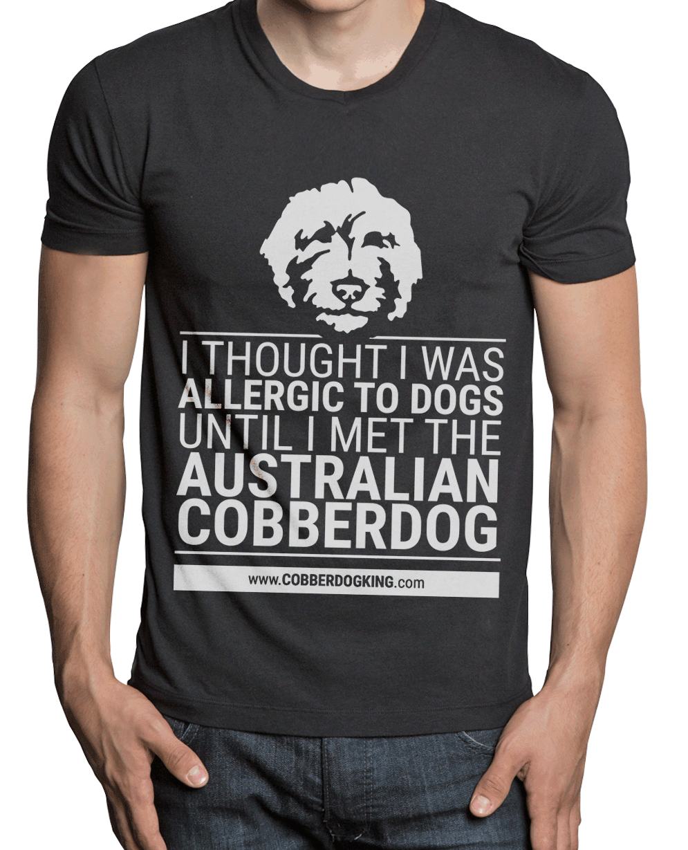 camiseta perro hipoalergénico Australian Cobberdog