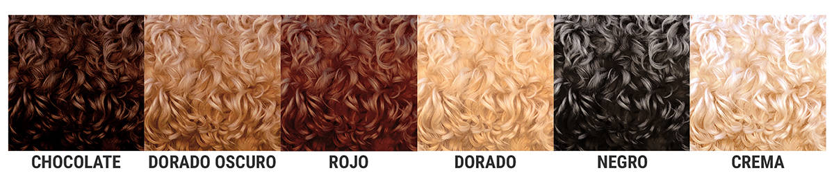 Paleta de colores del pelaje perro Australian Cobberdog