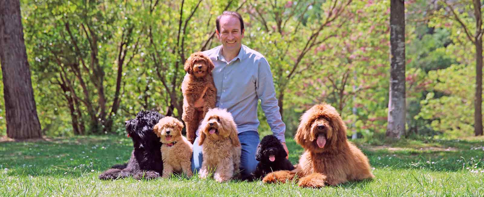 Homme avec chiens et chiots dans le parc