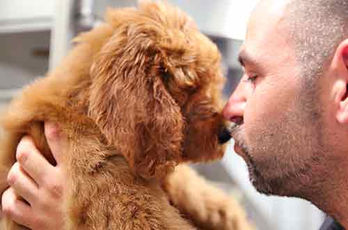 man kissing puppy