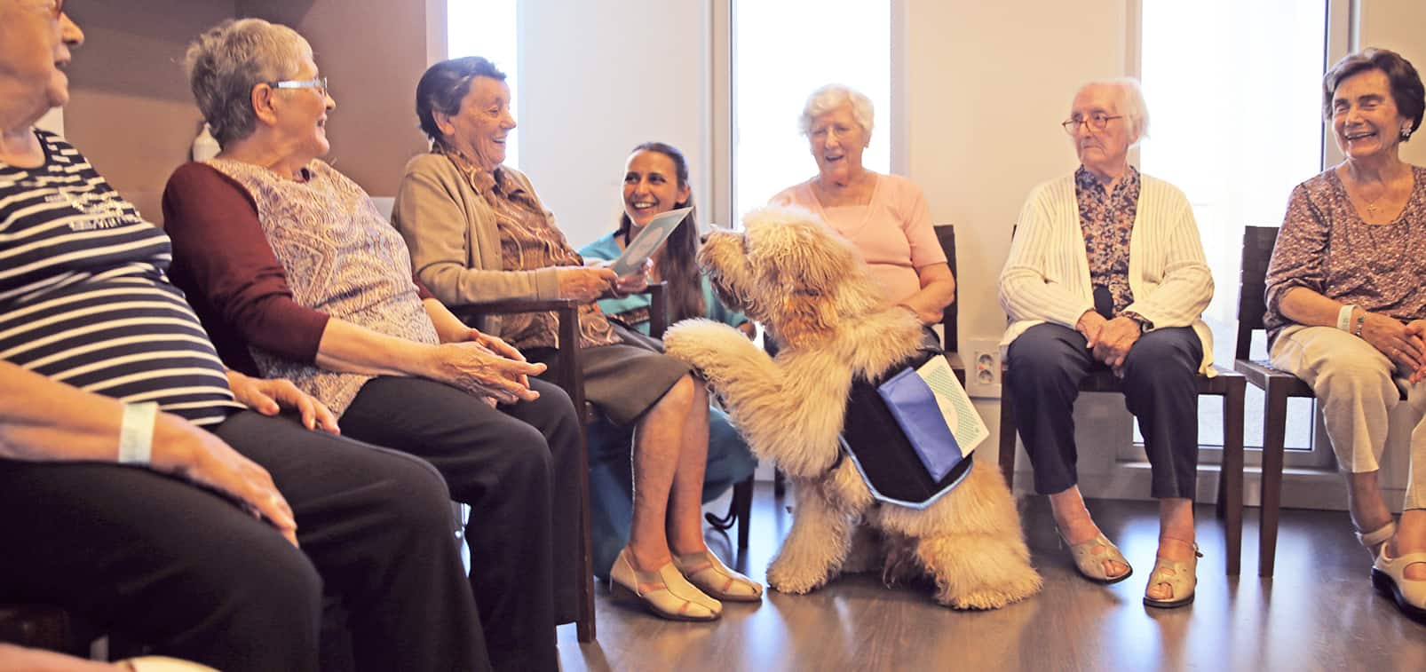 gos de teràpia donant la pota amb ancians i terapeuta