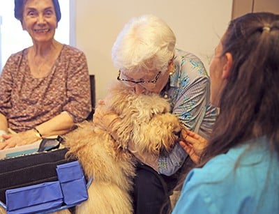 old woman kissing a dog