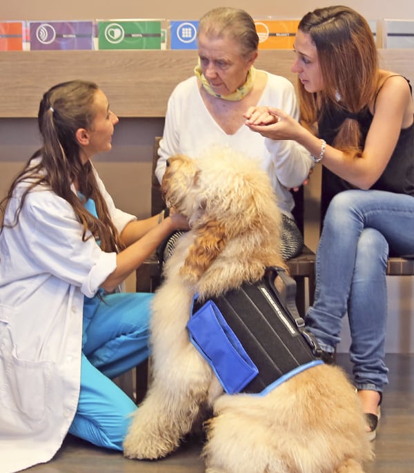 Perro de terapia con anciana, mujer y terapeuta