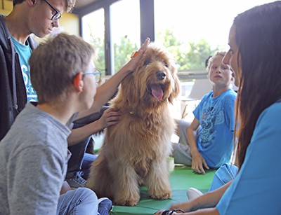 niños acariciando a perro