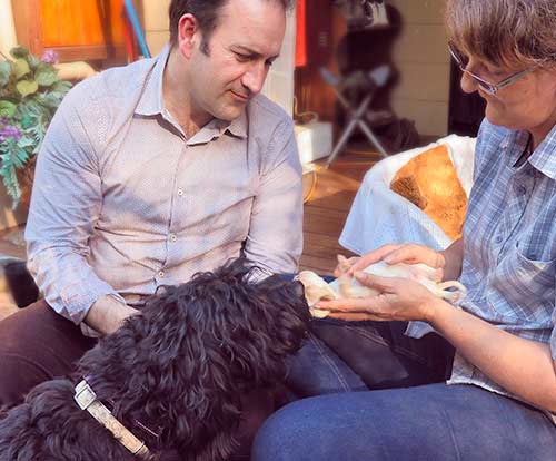 hombre y mujer con cachorro y perro