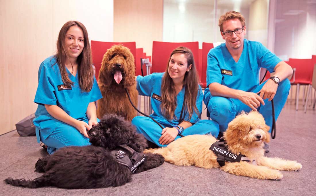 chiens de thérapie et techniciens en thérapie assistée par les chiens