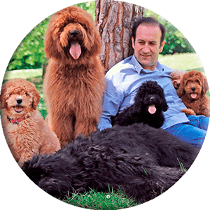 chiens dans un parc avec un homme appuyé sur un arbre, image ronde