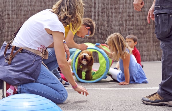puppy dog roasting through a tunnel surrounded by children