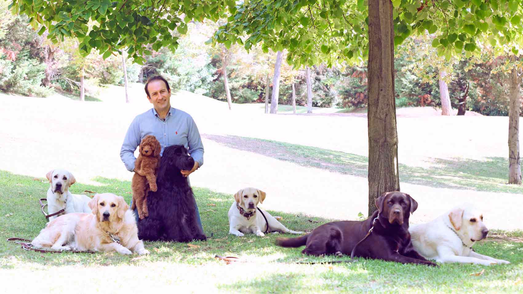 Homme entouré de chiens dans le parc