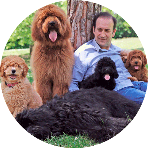 Man leaning on a tree with dogs and puppies, round image
