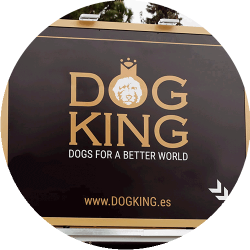 DOGKING Poster, rundes Bild