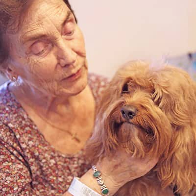 cachorro e mulher idosa