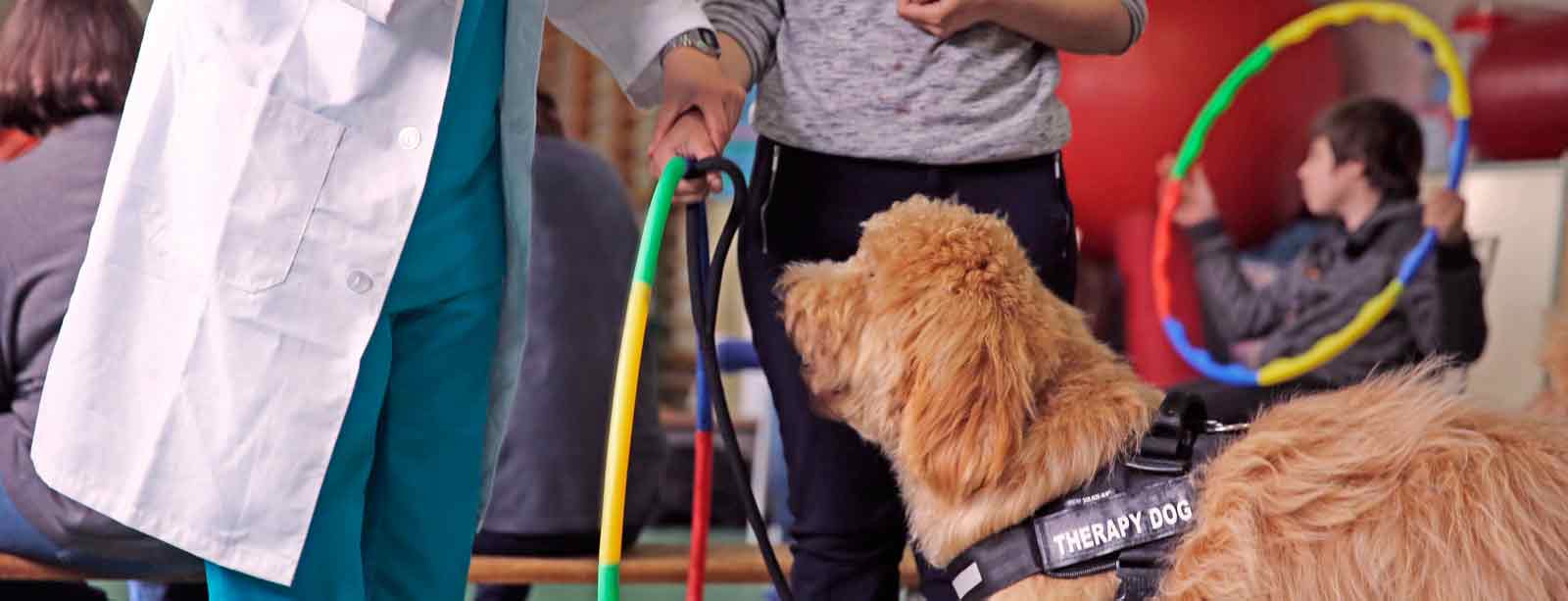 Therapiehund mit Benutzer und Techniker in assistierter Therapie mit Hunden