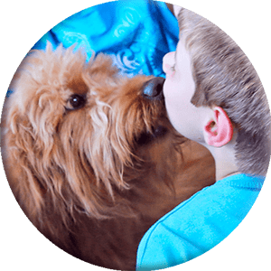 dog licking a child, round photo