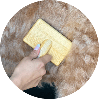 brushing a dog round image