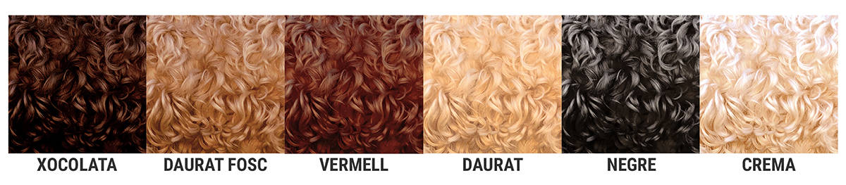 Paleta de colors de l'pelatge gos Australian Cobberdog