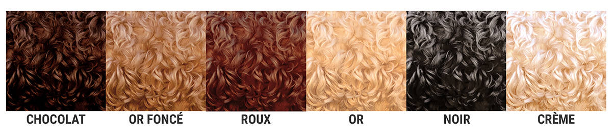 Palette de couleurs de pelage pour chien Australian Cobberdog