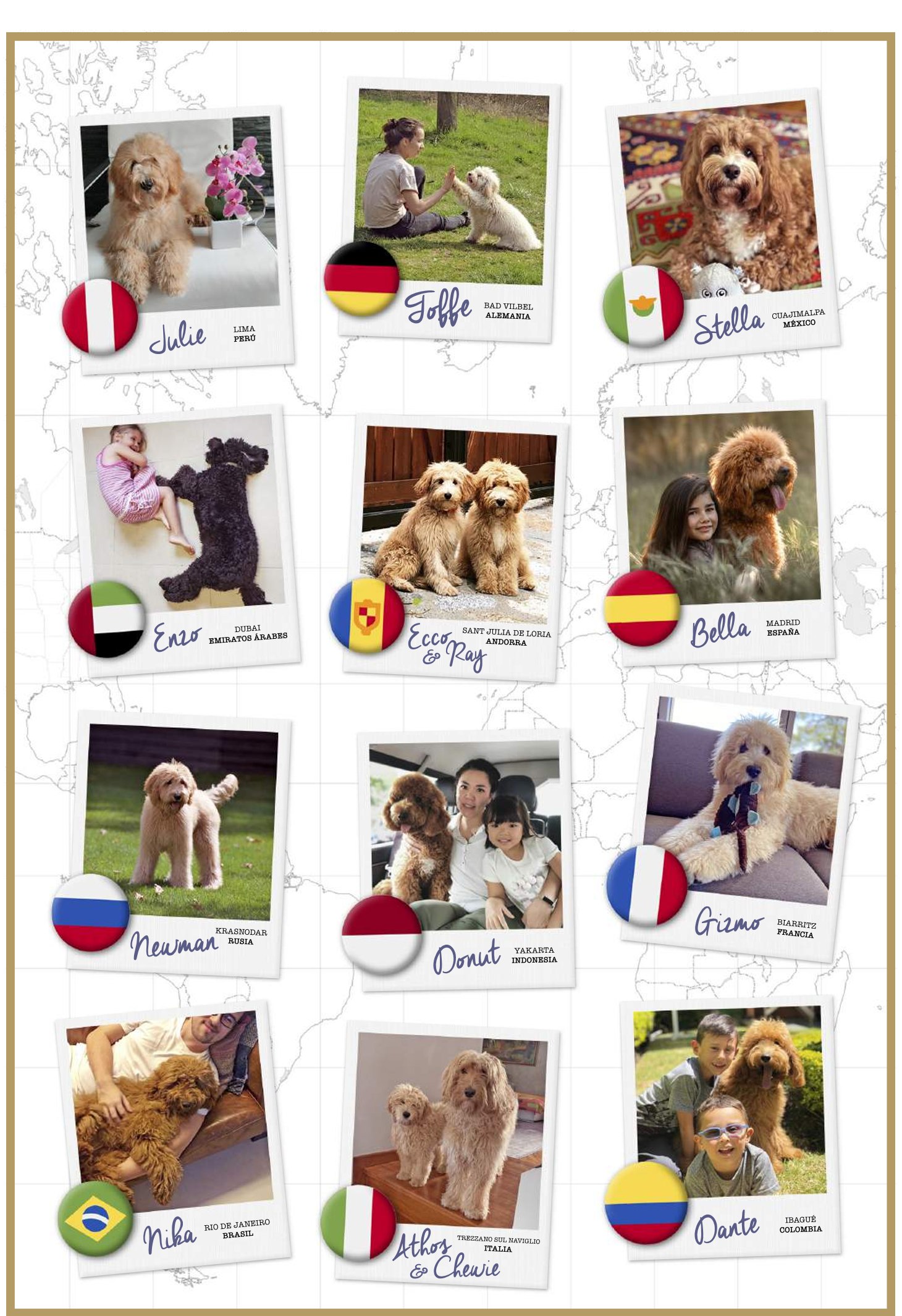 Cachorros Australian Cobberdog DOGKING con sus familias por todo el mundo