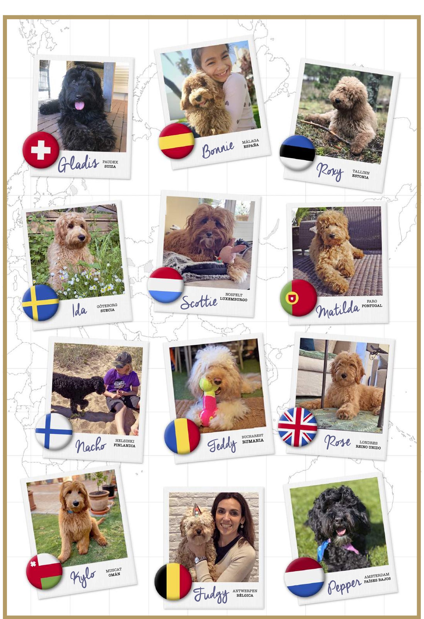 Cachorros Australian Cobberdog DOGKING con sus familias por todo el mundo