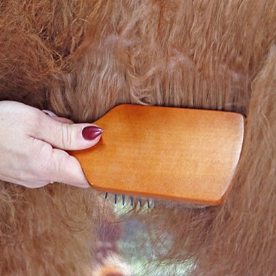 Cepillando a un perro, peluquería canina