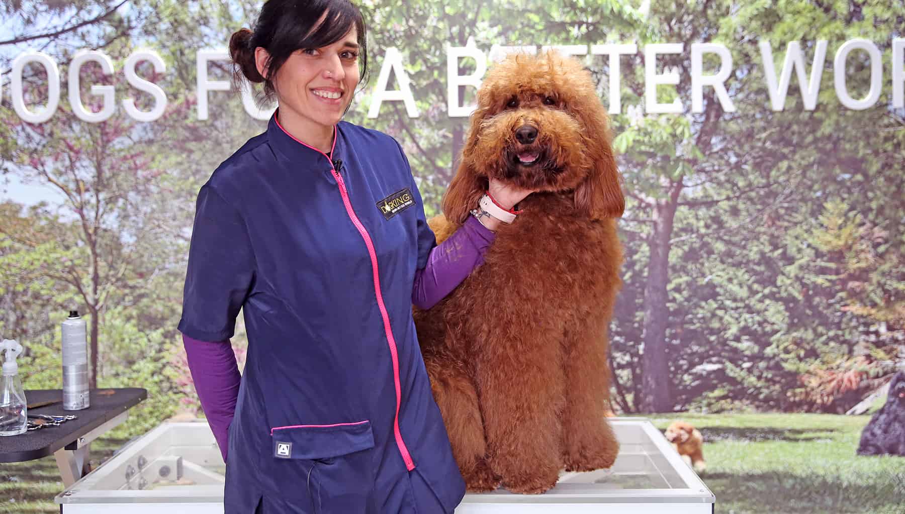 dona amb gos en una perruqueria canina