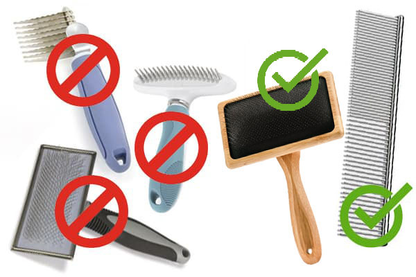 Dog grooming tools