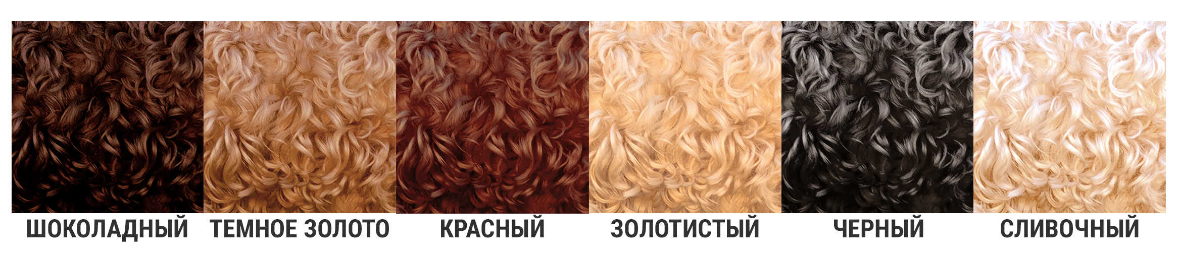 размеры лабрадуделя, миниатюрный лабрадудель, окрасы лабрадуделя, красны лабрадудель, золотистый лабрадудель Австралийский коббердог бывает 3-х размеров (миниатюрный, средний и крупный) и множества окрасов и оттенков, что делает каждую собаку уникальной