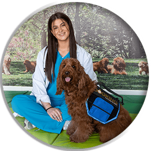 chien de thérapie avec harnais et image ronde thérapeute