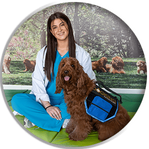 Perro de terapia con terapeuta azul