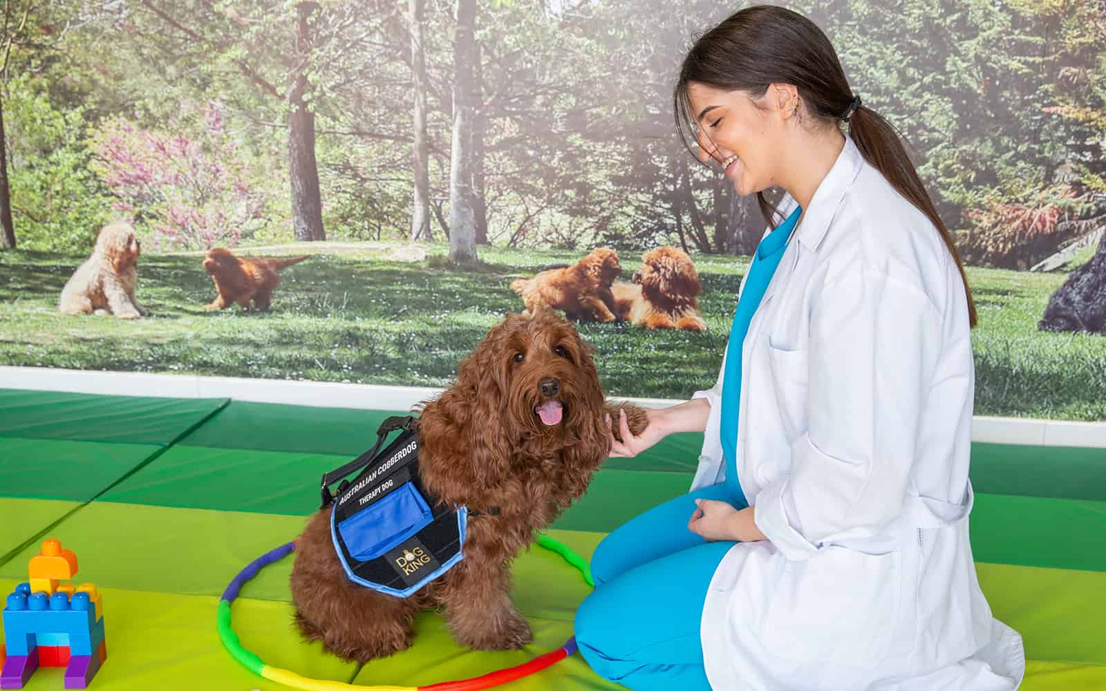 therapy dogs with man and woman