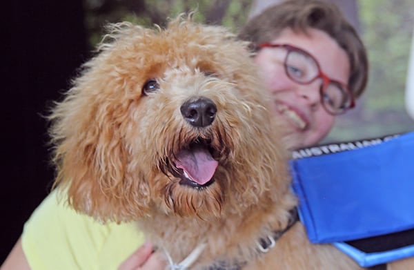 therapy dog and child